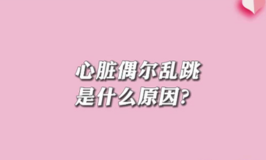 【名醫(yī)面對面之心臟100問】心臟偶爾亂跳是什么原因？