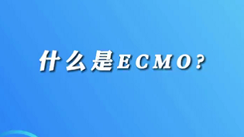 【名醫(yī)面對面之心臟100問】什么是ECMO？